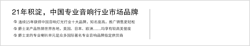21年積淀，中國(guó)專(zhuān)業(yè)音響行業(yè)市場(chǎng)品牌